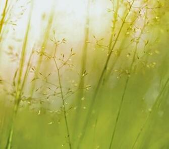 Lg G3 Stock Wallpaper Zip Mirror Link