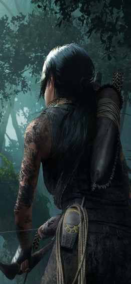 iPhone X Shadow Of The Tomb Raider Background Wallpaper