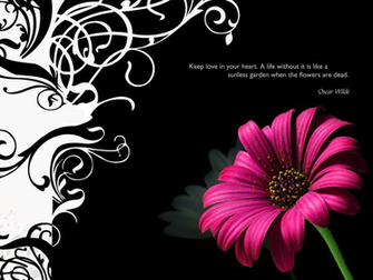 Greeting Wallpaper M4 American Greetings
