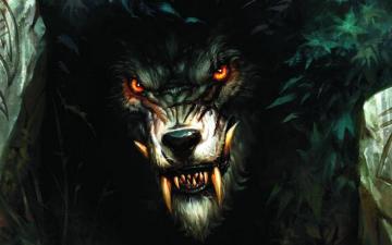 Animal Beast Wallpaper On