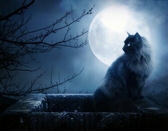 Moon Wallpaper Romantic Moonlight Sky At Night Background Scenery