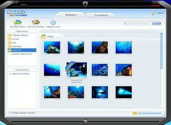 Magnetic Programm Version Sprache Deutsch System Windows