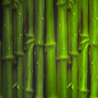 Bamboo iPhone Wallpaper