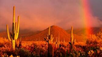 The Year Park National Parks Conservation Association