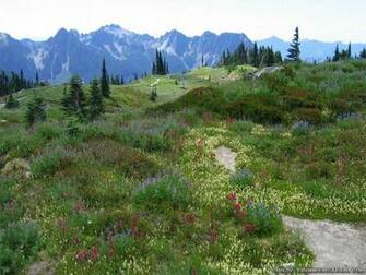 Alps Mountains Spring Season Flowers Wallpaper