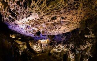 National Park Black Hills South Dakota HD Bing Wallpaper Archive
