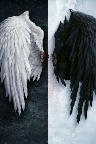 Angel Wings iPhone Wallpaper Background And Themes