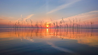 Nature Wallpaper