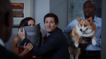 Brooklyn Nine Wallpaper And Background Image