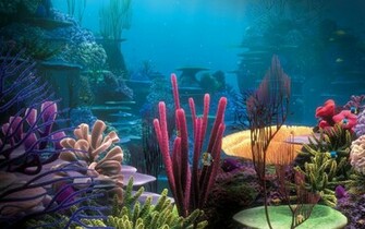 Most Beautiful Ocean Wallpaper