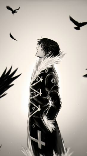 Hunter X Chrollo Lucilfer Feathers