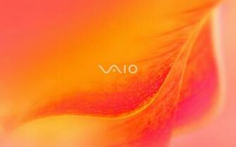 Wallpapere Vaio Orange Floare Wallpaper