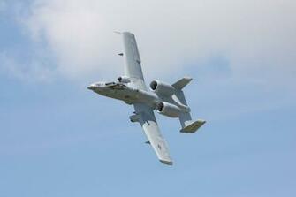 Warthog Wallpaper Wallver