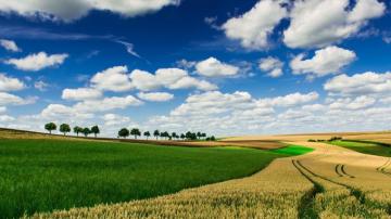 Farm Wallpaper Top Background