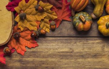 Wallpaper Autumn Leaves Background Tree Board Colorful
