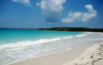 Preciosa Playa De Esperanza Vieques Puerto Rico Wallpaper