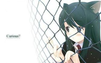 Curious Neko Anime Characters Wallpaper