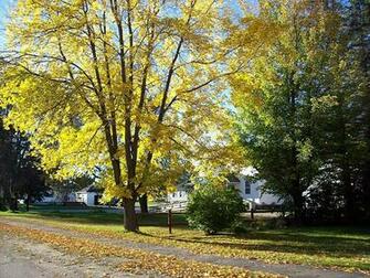 Autumn Afternoon In Skowhegan Maine Wallpaper