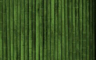 Bamboo Texture Green Style Wallpaper Full HD