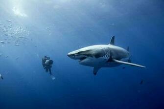 Wallpaper Oceans Desktop