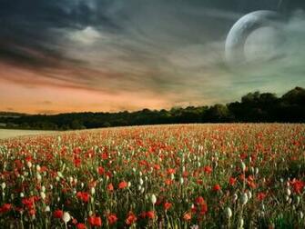 Photoshop Background Design Desktop Photo Background Image Wallpaper