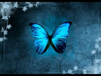 Blue Butterfly Background Wallpaper HD