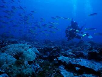 Deep Sea Diving Definition