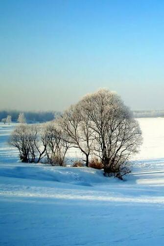 Wallpaper For Background Apple iPhone Winter Scenery Snowy