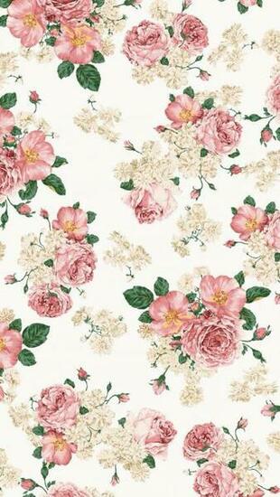 Roses iPhone Wallpaper