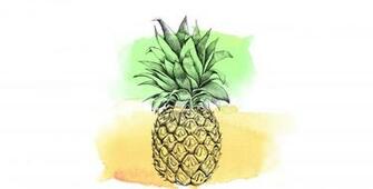Pineapple Wallpaper