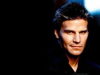 David Wallpaper Boreanaz
