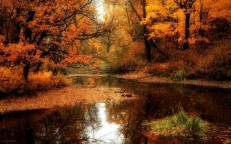Autumn Forest Wallpaper Desktop Background