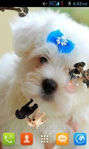 Bigger Puppies Live Wallpaper HD For Android Screenshot