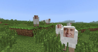Minecraft Sheep Wallpaper