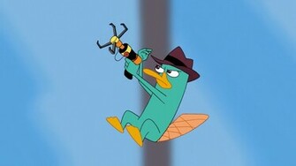 Perry The Platypus Wallpaper