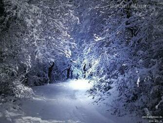 Winter Scenery