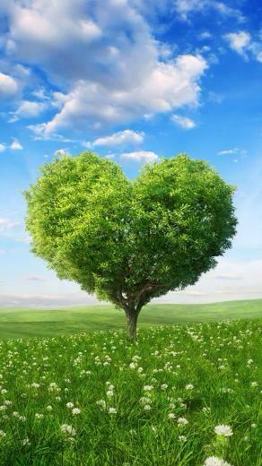 Spring Wallpaper Girly Heart Shape iPhone