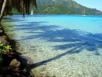 High Definition Wallpaper Photo Tahiti Html