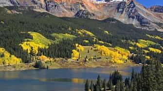 Fur Trees Autumn Colors Green Yellow Water Wallpaper Background
