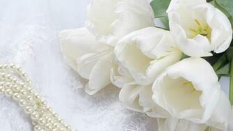 Beautiful White Flowers HD Desktop Wallpaper