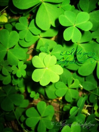 Lucky Charm By Chiiyo Rin