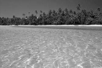 Black And White Wallpaper Beach Landscape HD