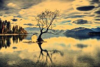 Colorized Nashville Psyduck On A Lake HD Wallpaper