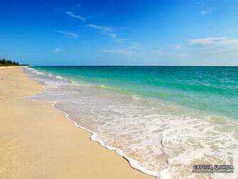 Florida Beaches Beach Photo Desktop Background Nature