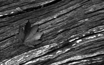 Best Wallpaper Collection Black And White