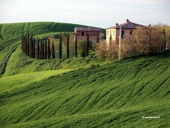 Gallery For Ac Siena Calcio Wallpaper Image