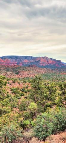 Sedona Arizona Usa