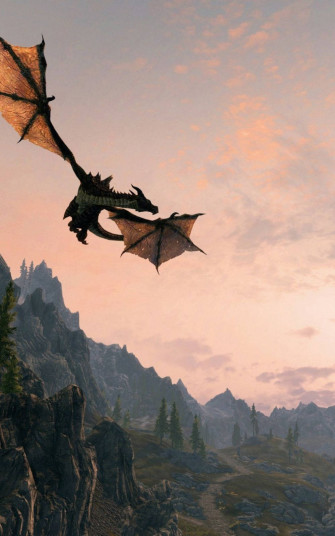 Skyrim iPhone Flying Dragon Qa5sxbtyq0oyd8hk Wallpaper