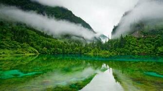 HD Nature Image Wallpaper Of Natures Organic Fresh Air