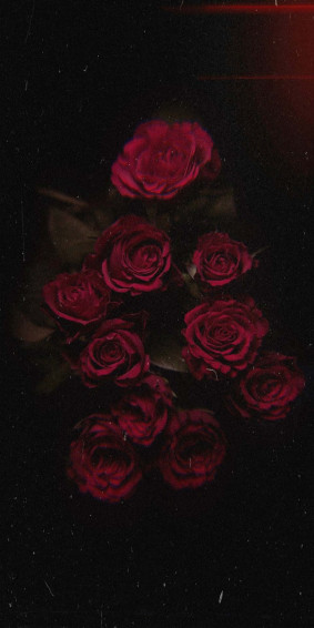 Red Flower Aesthetic Wallpaper